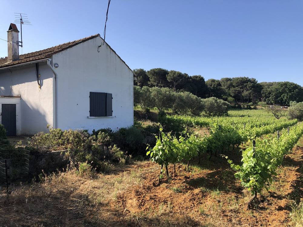 48 m&sup2; G&icirc;te 1 Schlafzimmer 2 G&auml;ste