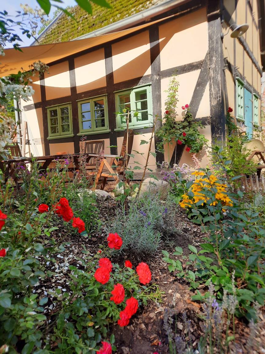 60 m² Ferienhaus ∙ 1 Schlafzimmer ∙ 3 Gäste – Bild 13