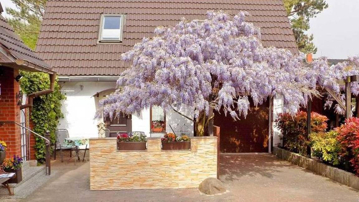 52 M² Ferienwohnung ∙ 1 Schlafzimmer ∙ 3 Gäste - Koserow