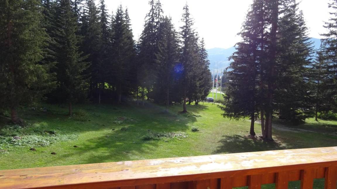 foto1