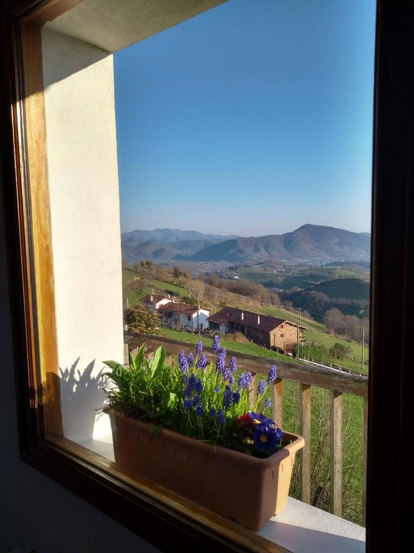 foto21