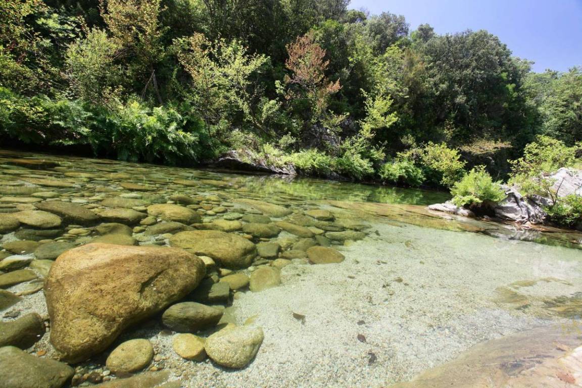 foto14