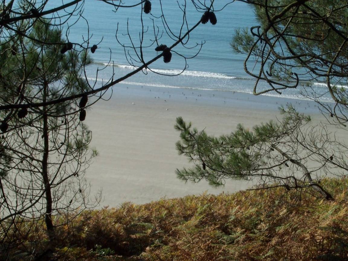 foto23