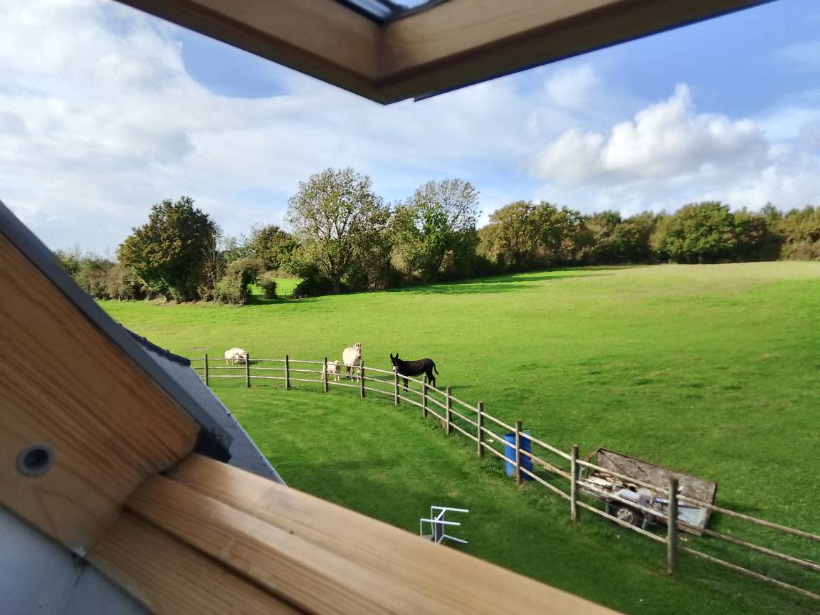 75 M² Huis ∙ 2 Slaapkamers ∙ 6 Gasten - Carly
