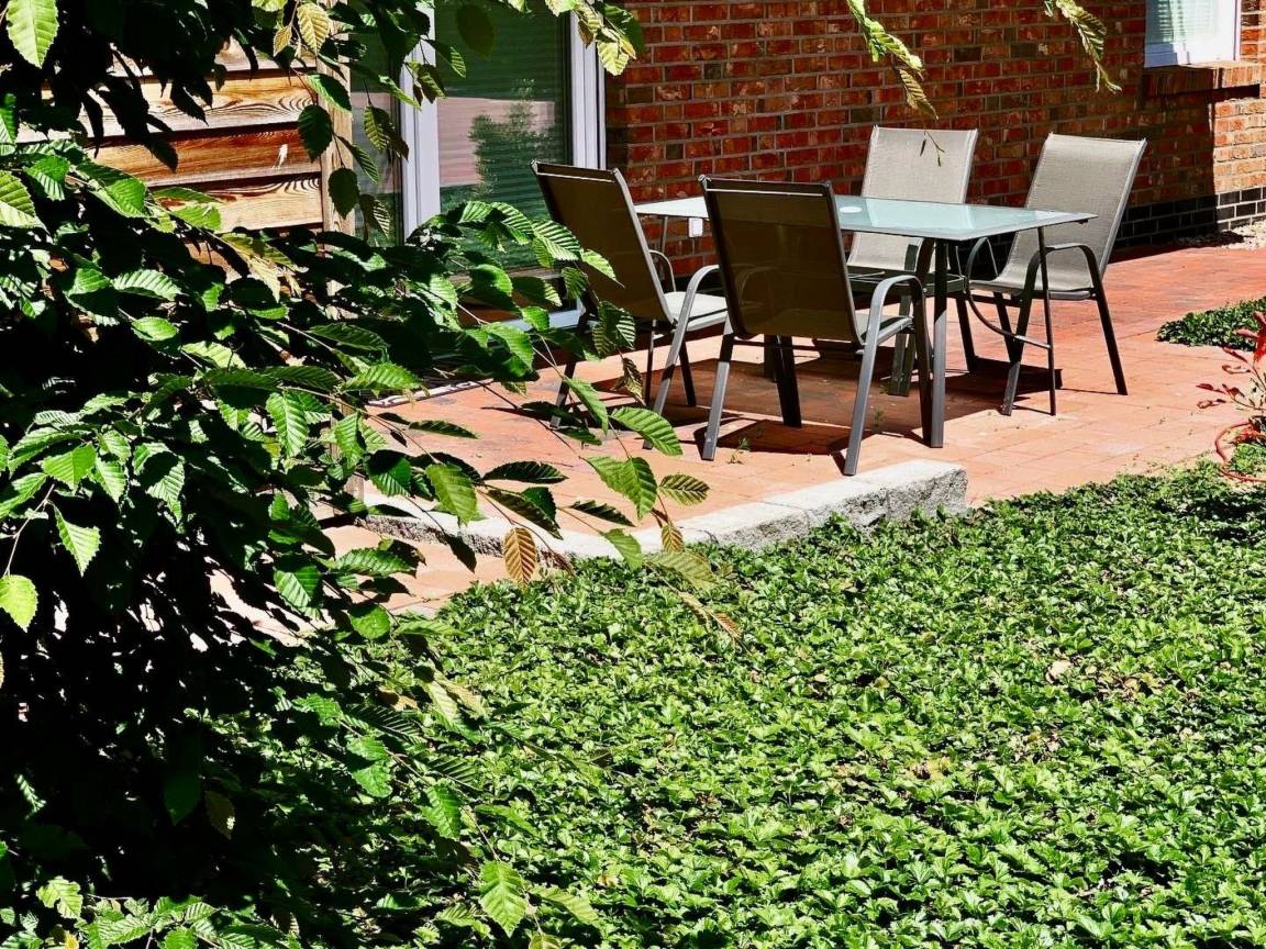 75 M² Apartment ∙ 2 Bedrooms ∙ 4 Guests - Friesoythe