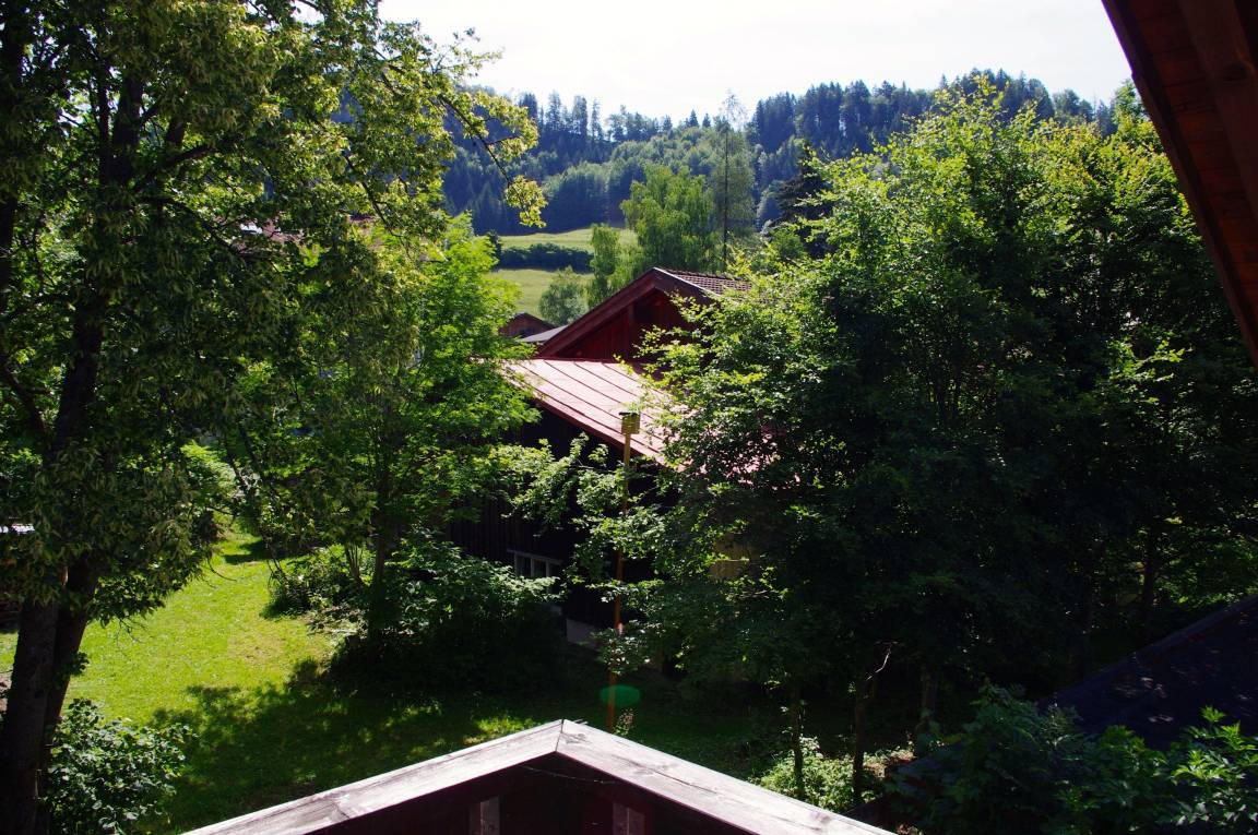 foto15
