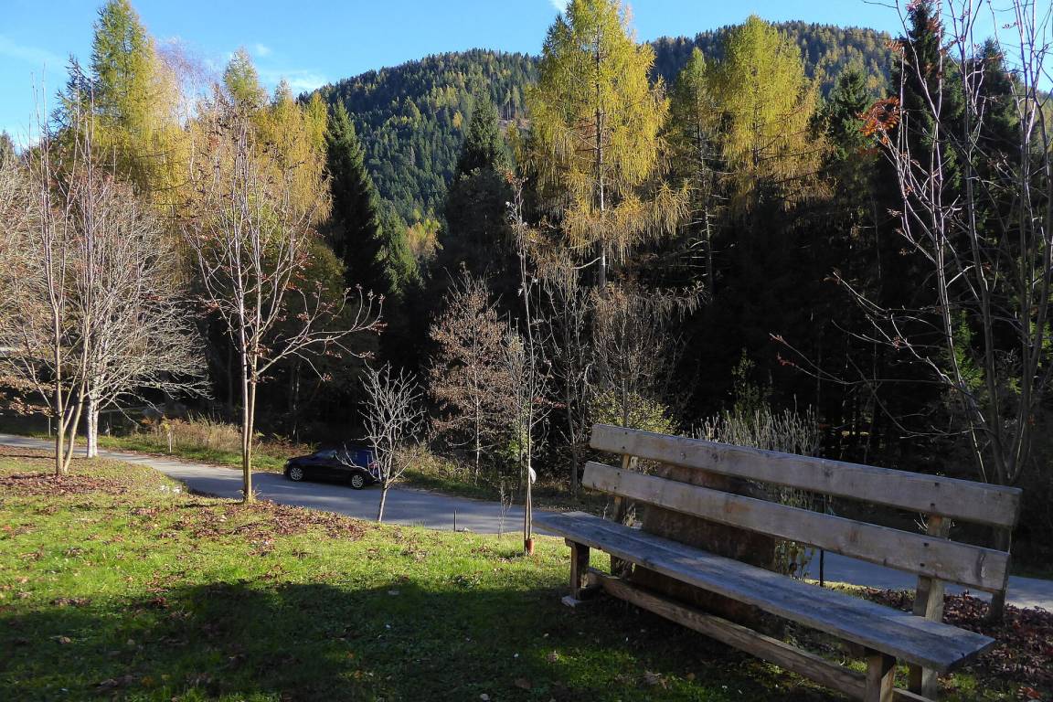 foto31