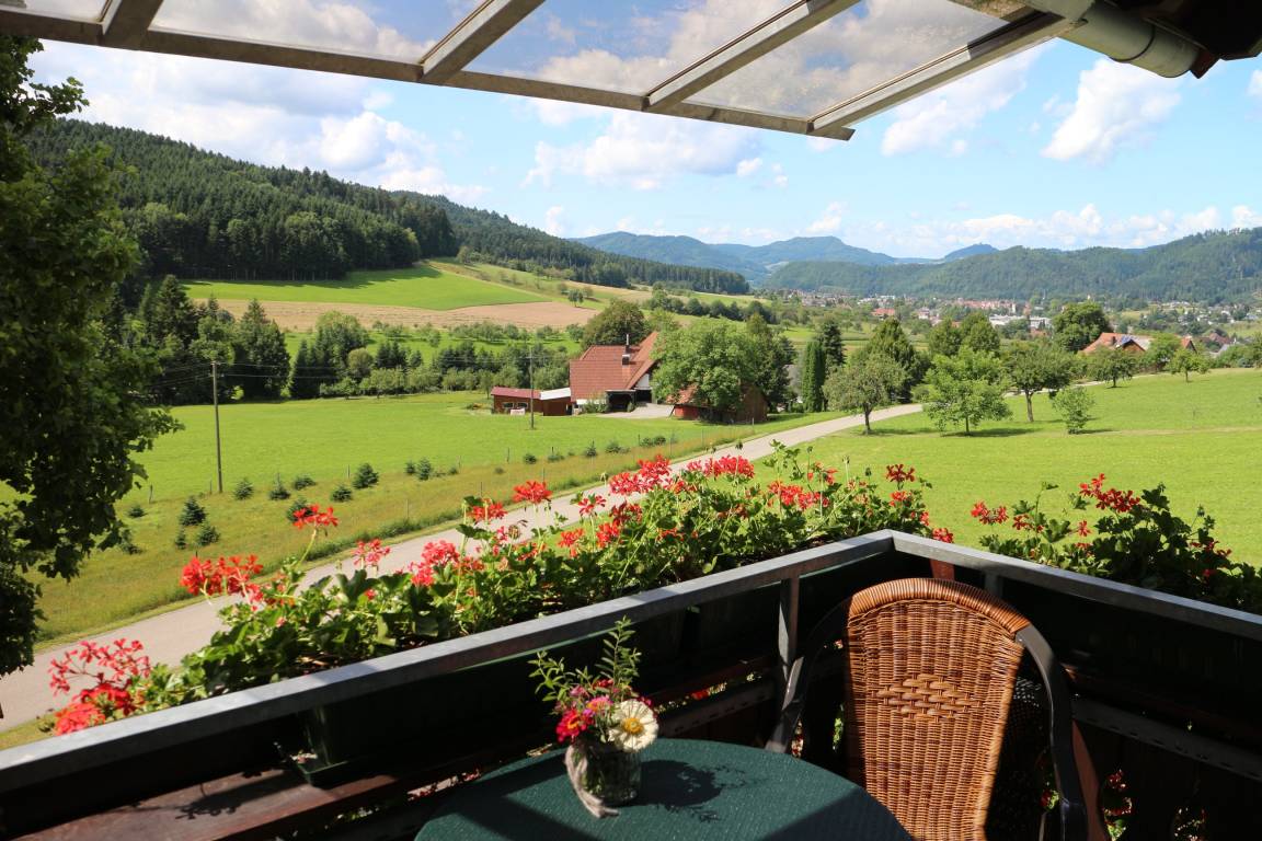 35 M² Ferienwohnung ∙ 1 Schlafzimmer ∙ 2 Gäste - Zell am Harmersbach