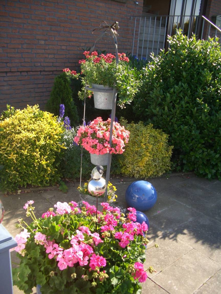 foto14