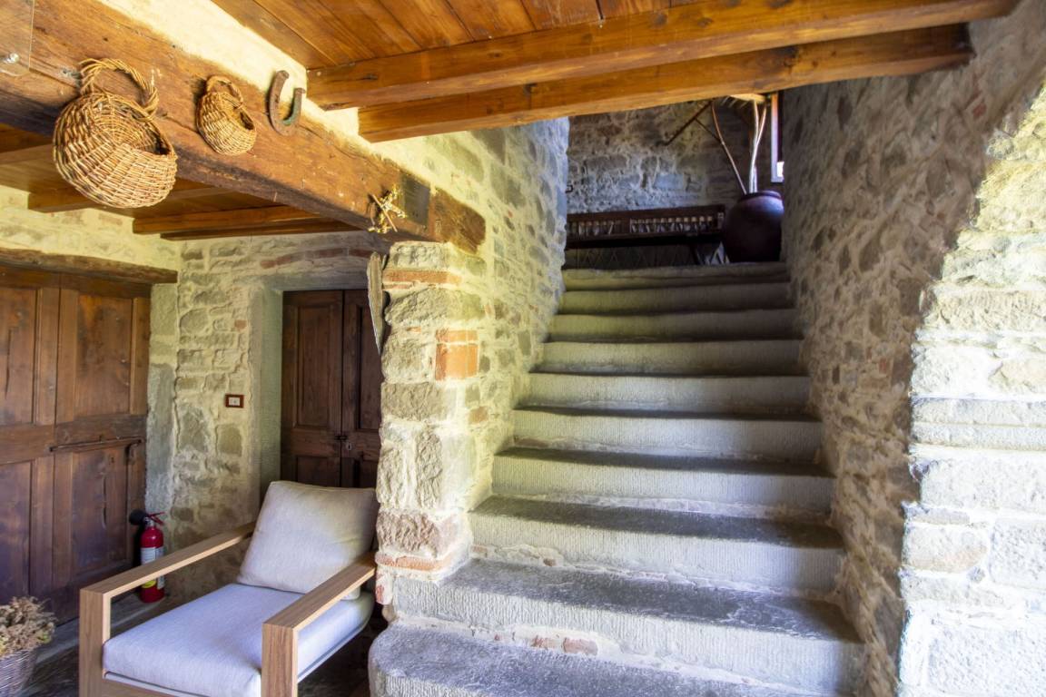 foto24