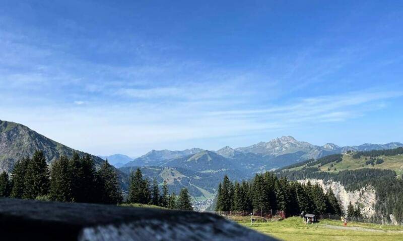 foto11