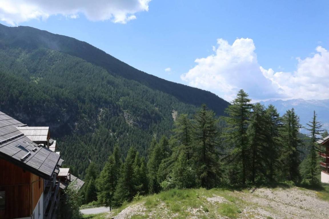 foto14