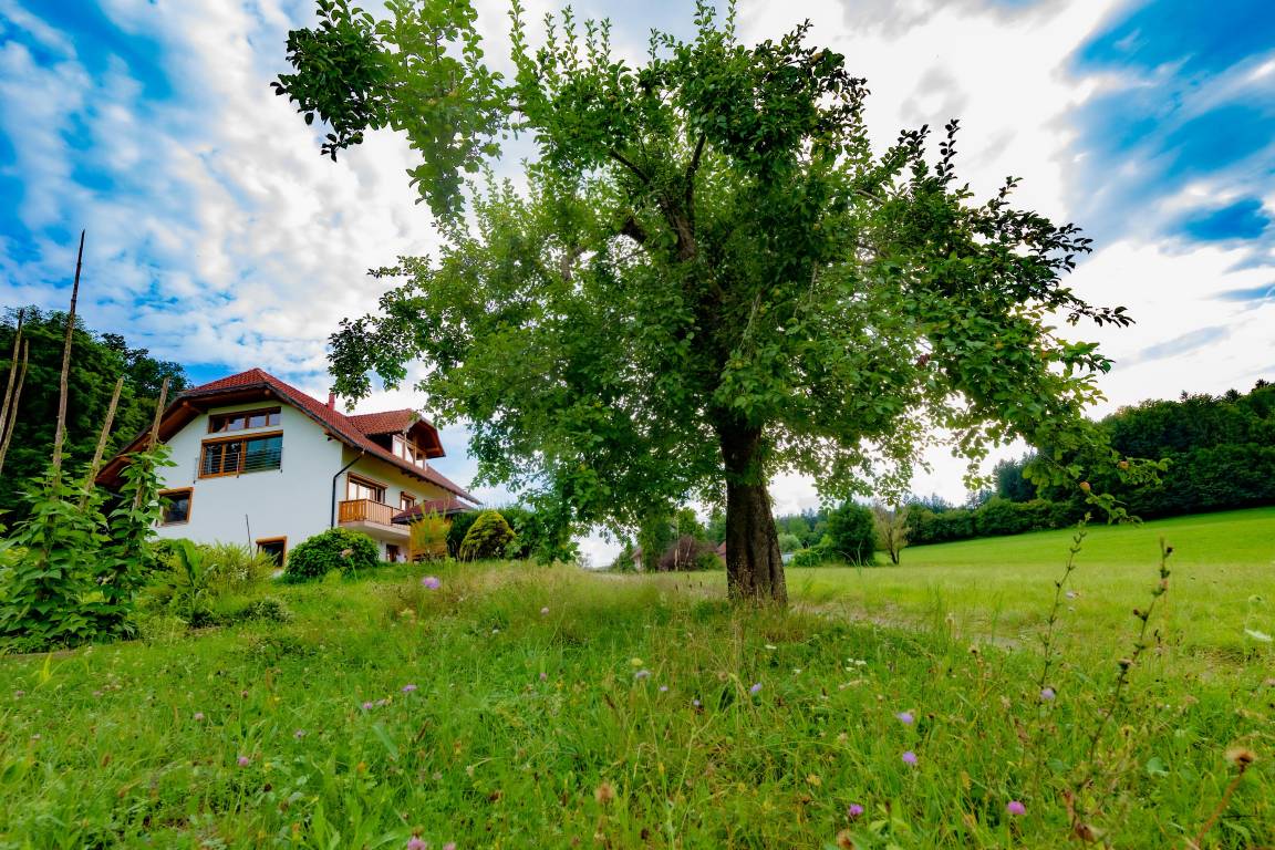 109 M² Apartment ∙ 2 Bedrooms ∙ 5 Guests - Slovenia