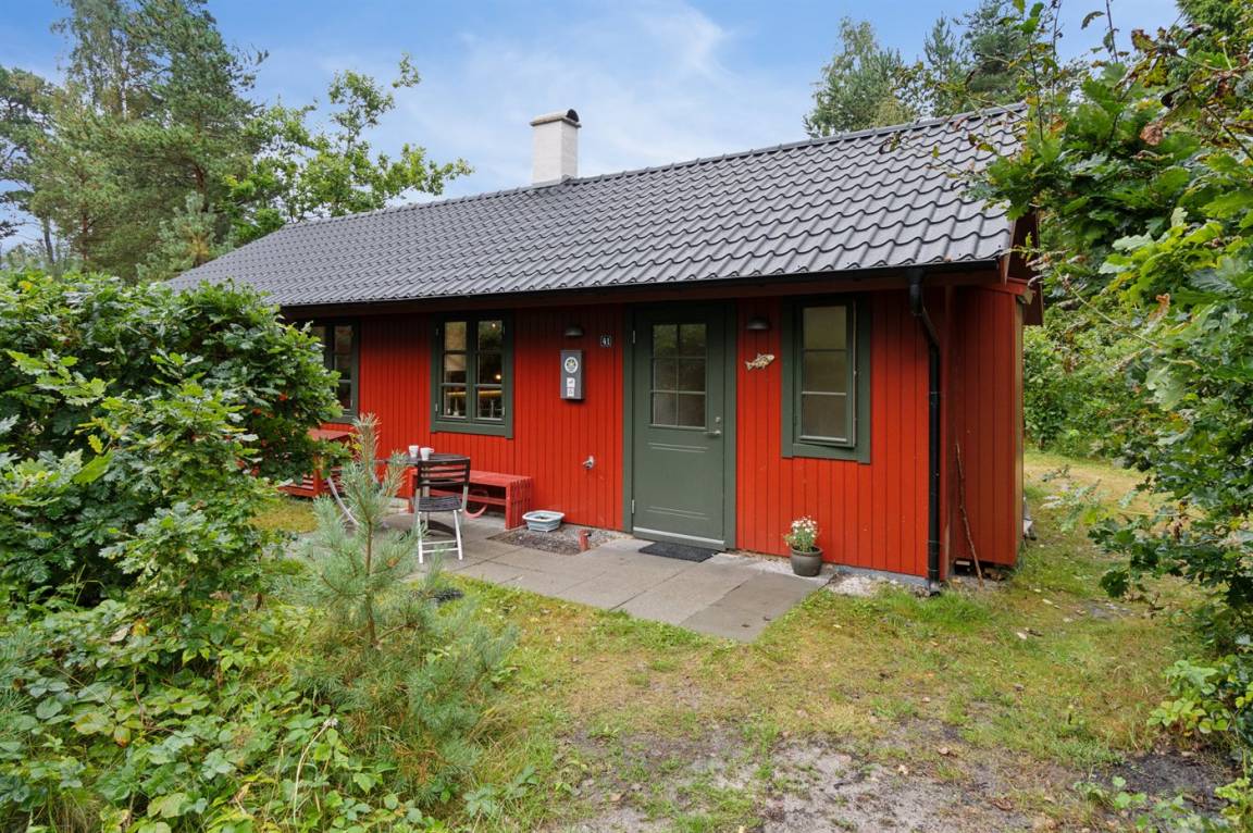 foto28