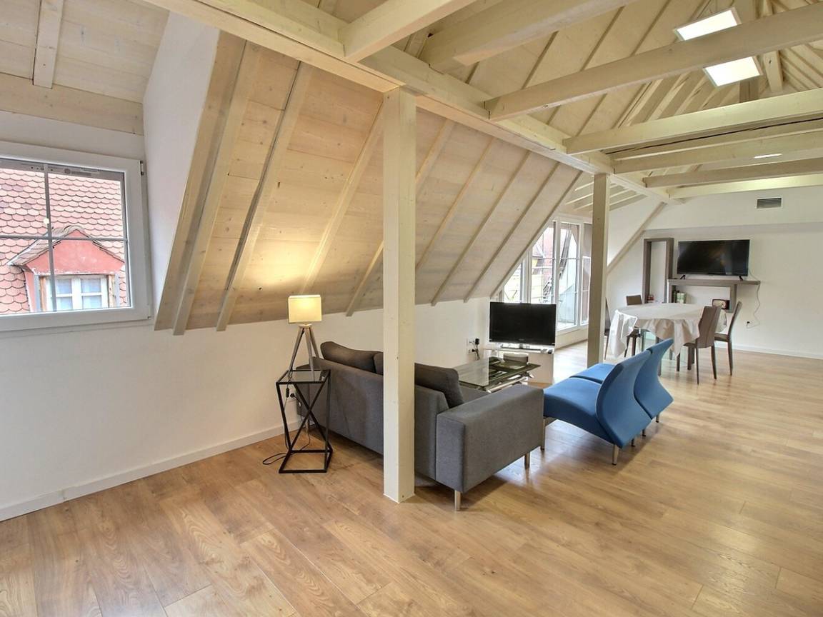 100 M² Appartement ∙ 2 Chambres ∙ 4 Personnes - Colmar