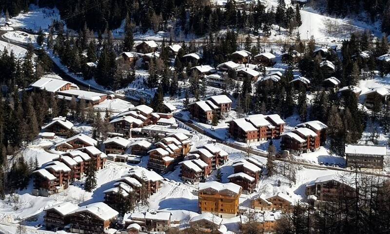foto2