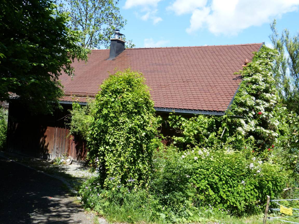 67 m&sup2; Ferienhaus 2 Schlafzimmer 5 G&auml;ste