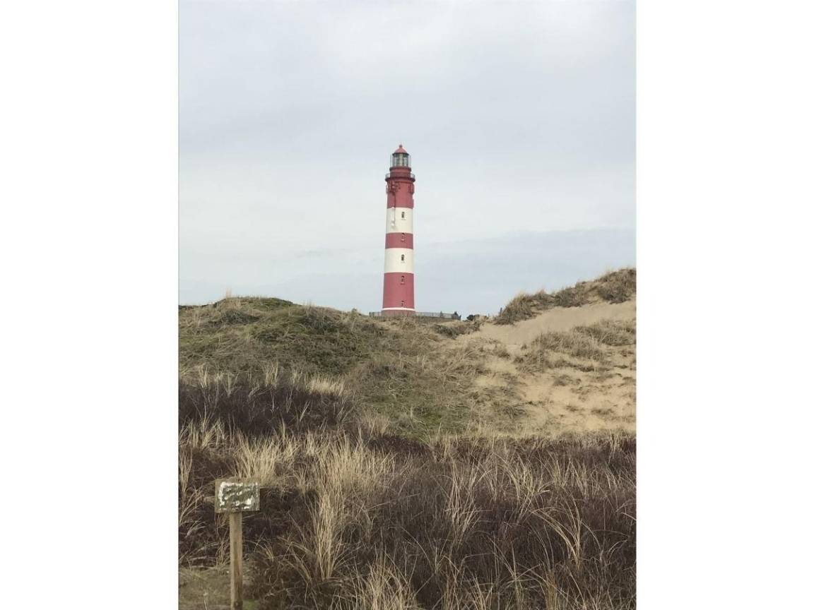 foto17