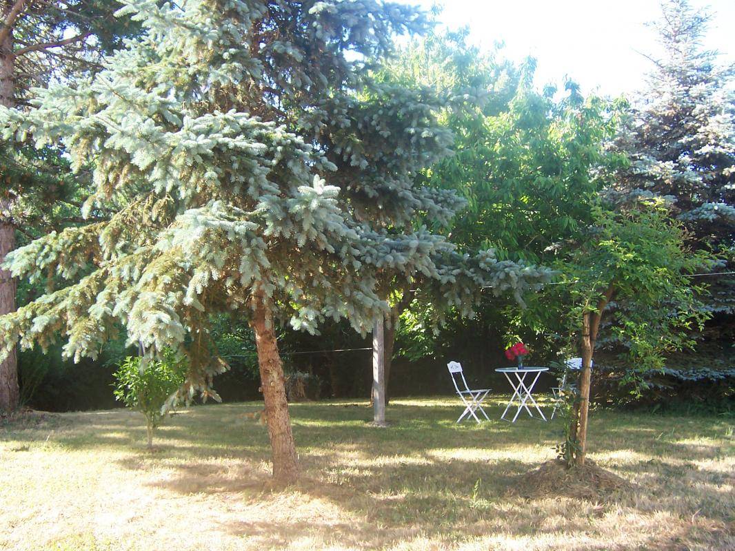 foto13