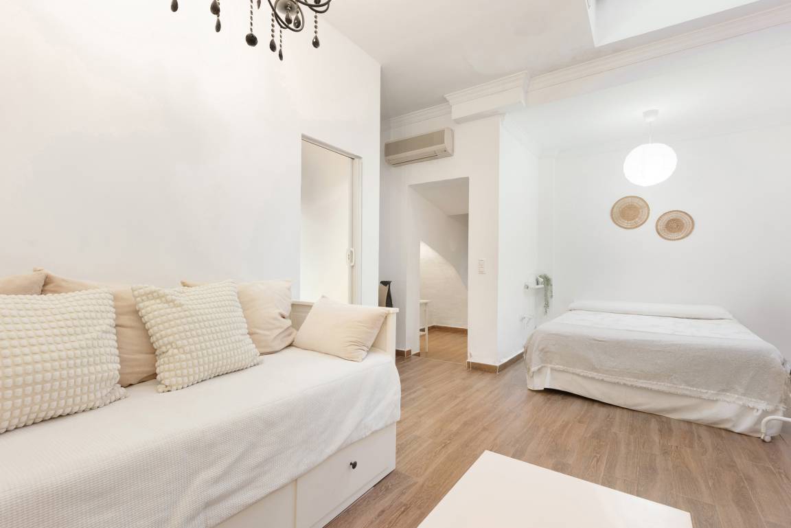55 M² Apartment ∙ 1 Bedroom ∙ 4 Guests - Málaga