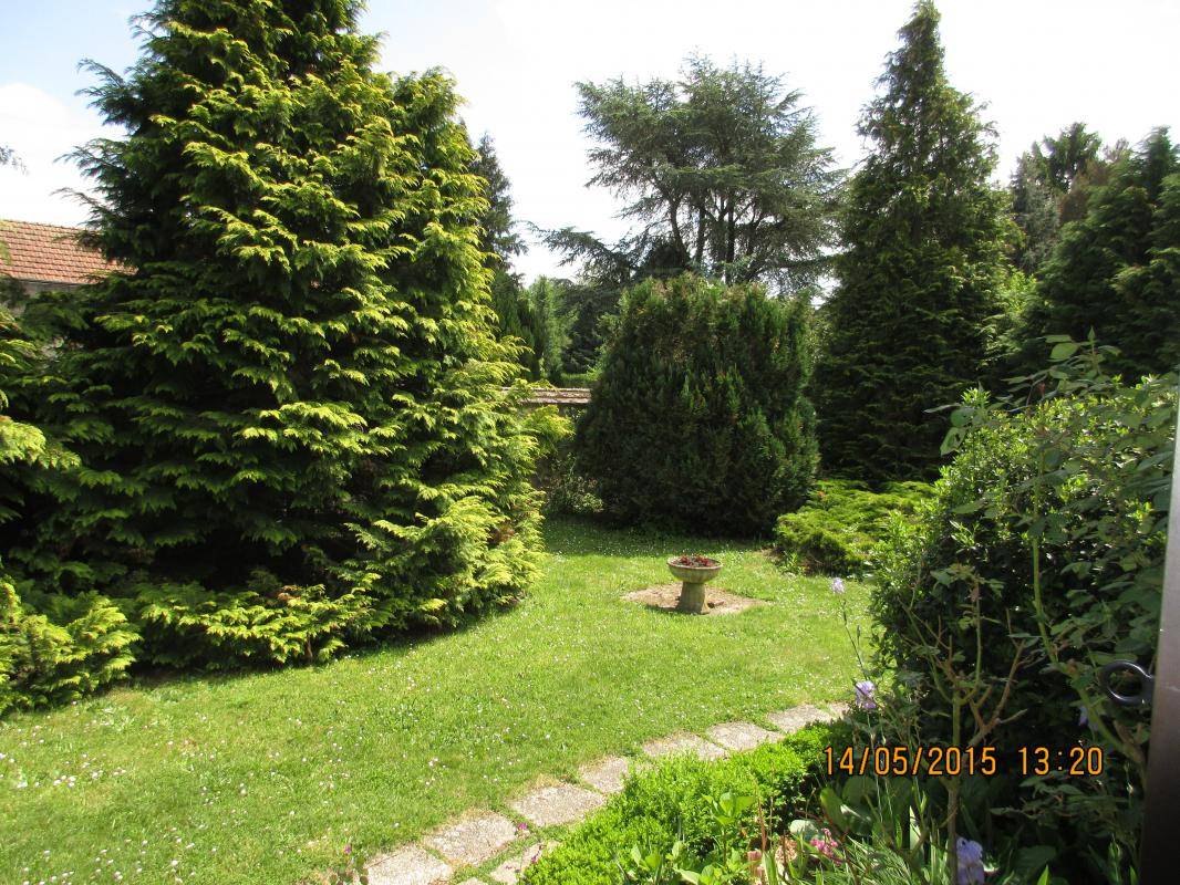 foto6