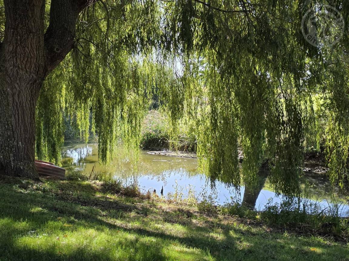 foto16