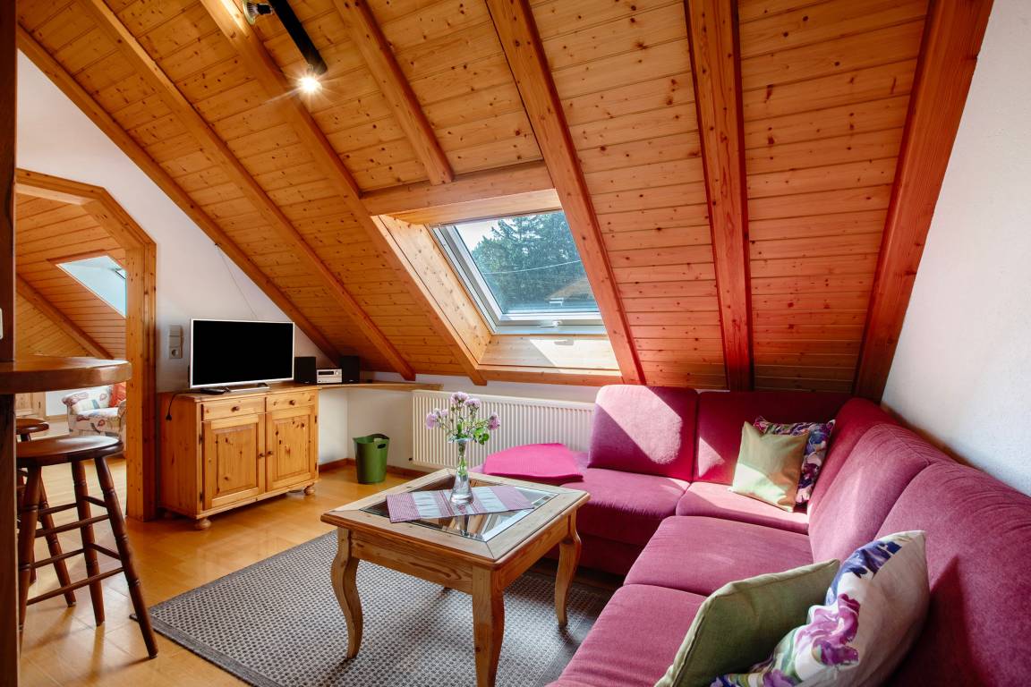 45 M² Apartment ∙ 1 Bedroom ∙ 2 Guests - Laufenburg