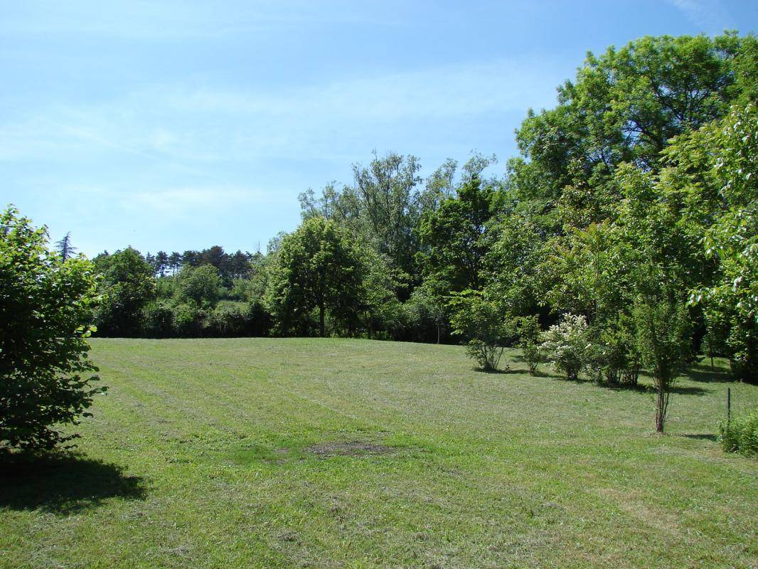 foto2