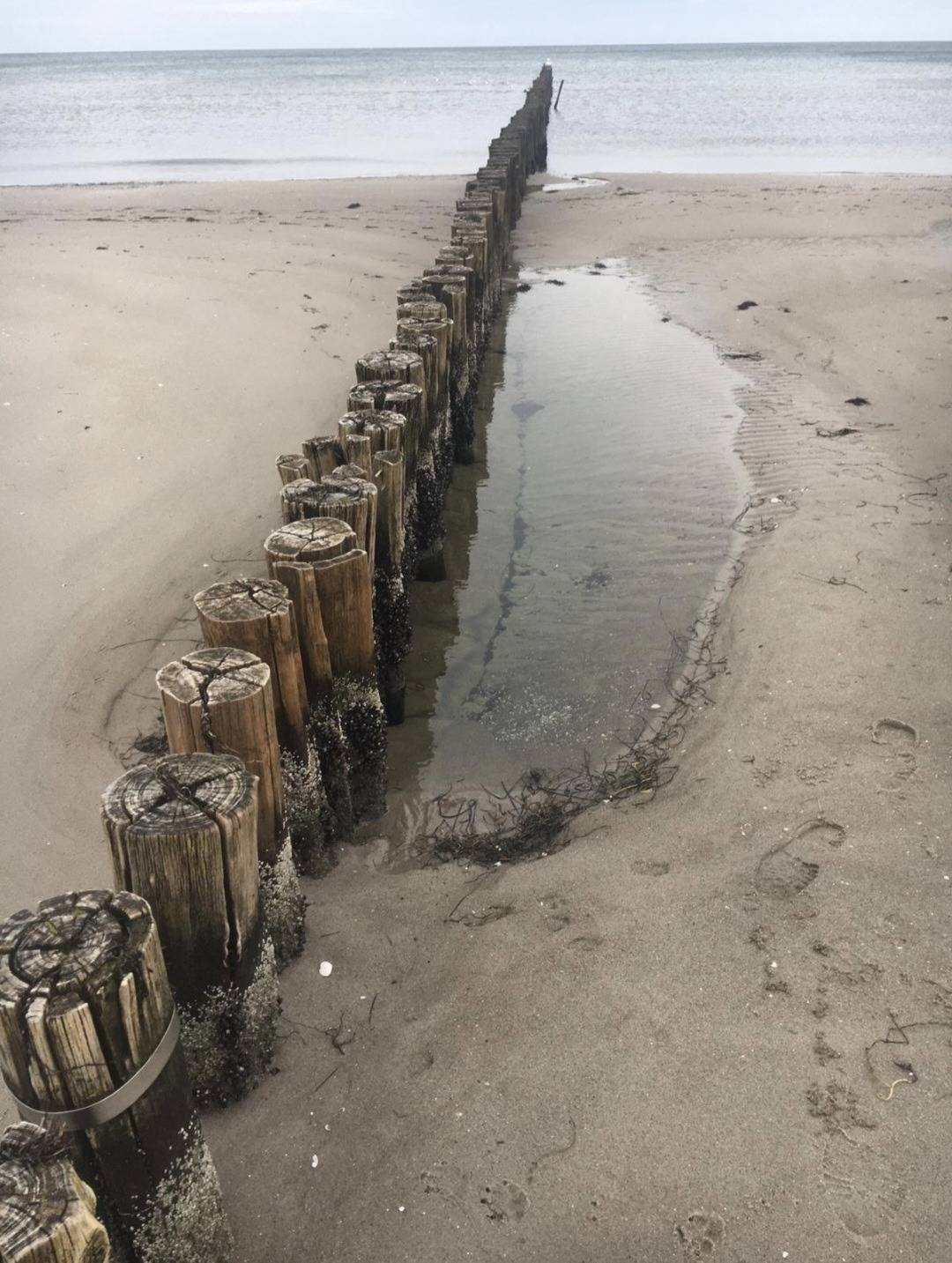 foto16