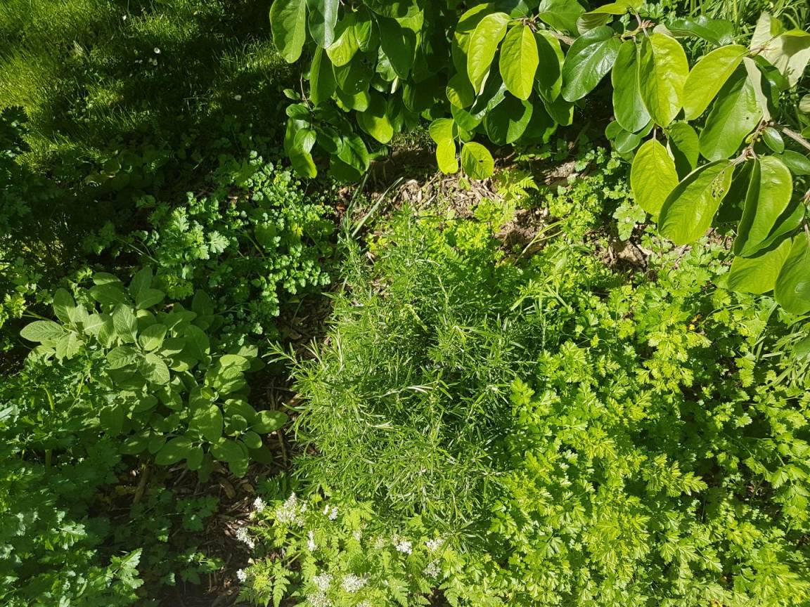 foto17