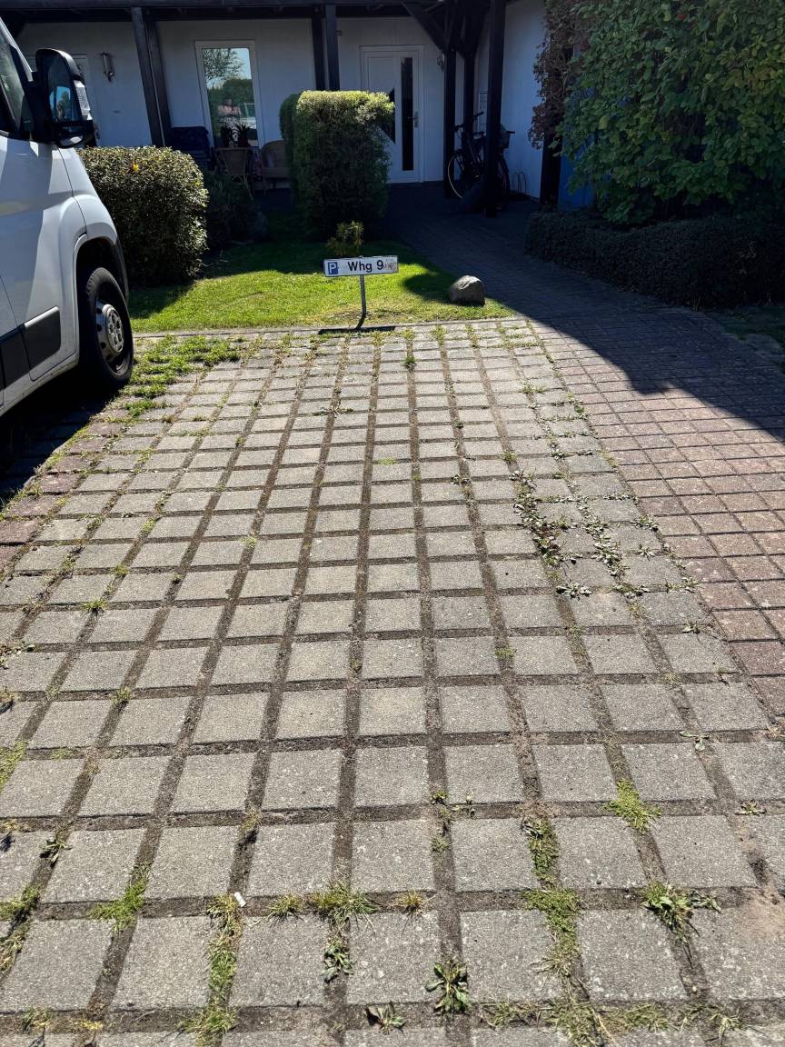 foto14