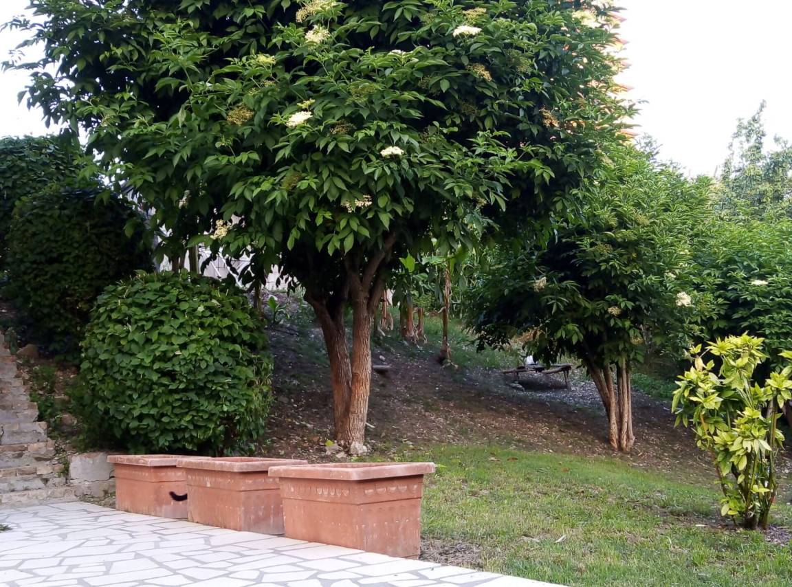 foto3