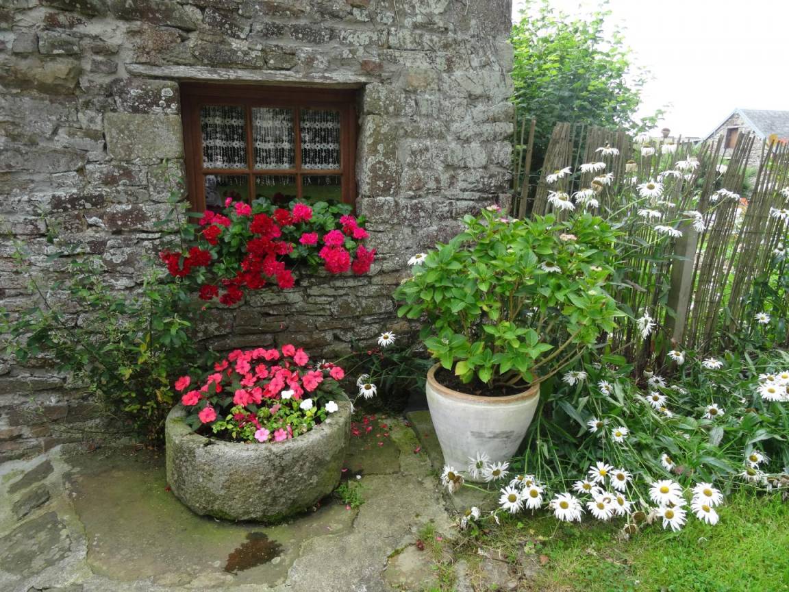foto11