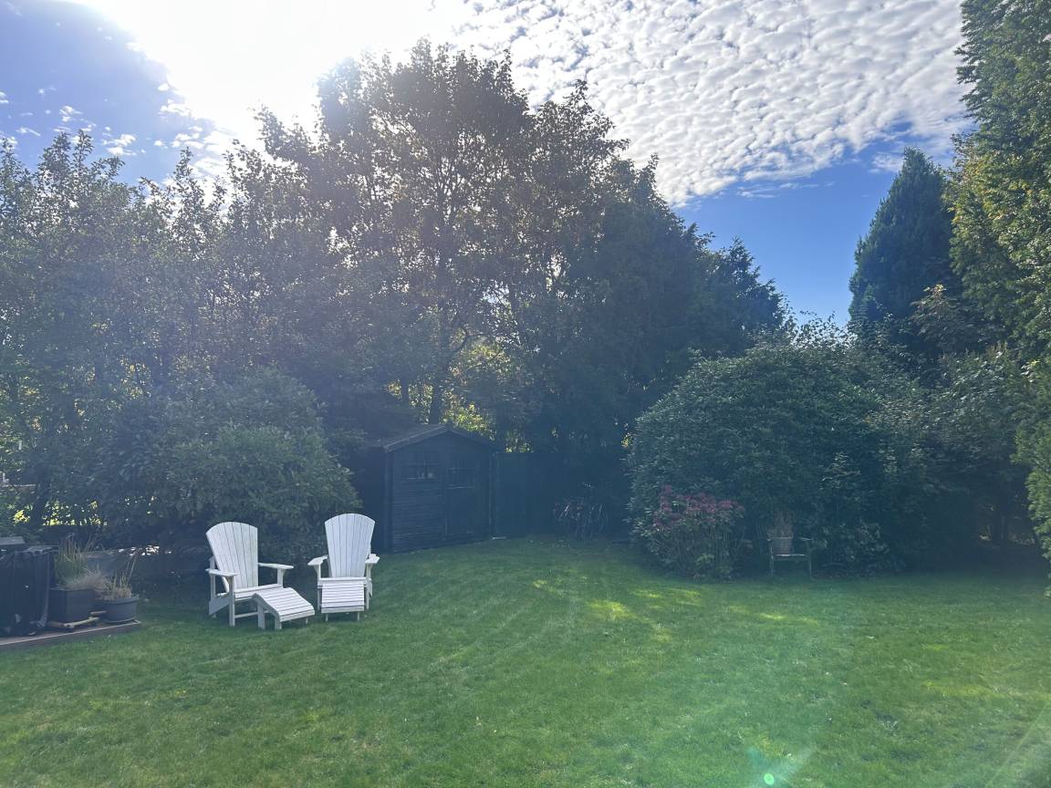 foto19