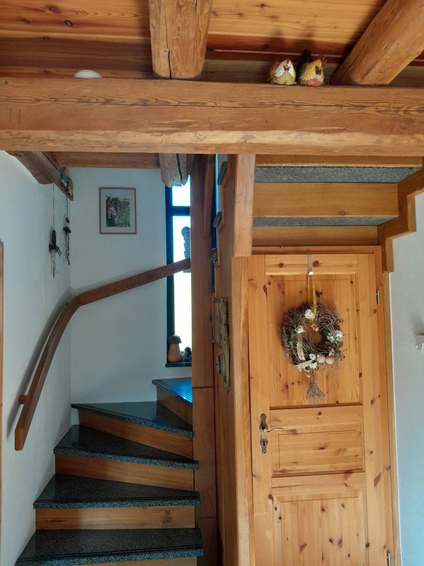 foto11