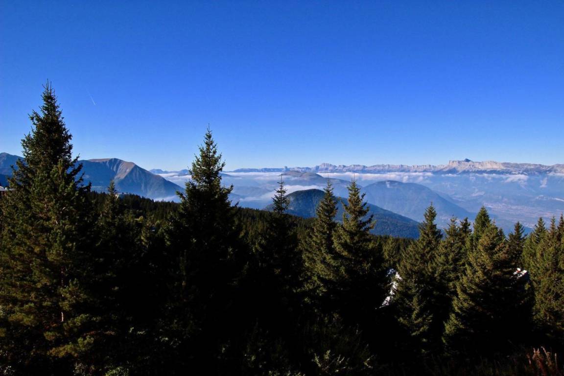 foto19