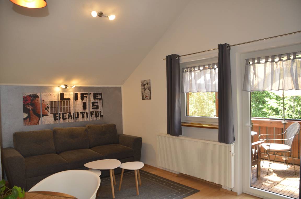 Apartment ∙ 1 Bedroom ∙ 4 Guests - Drachselsried