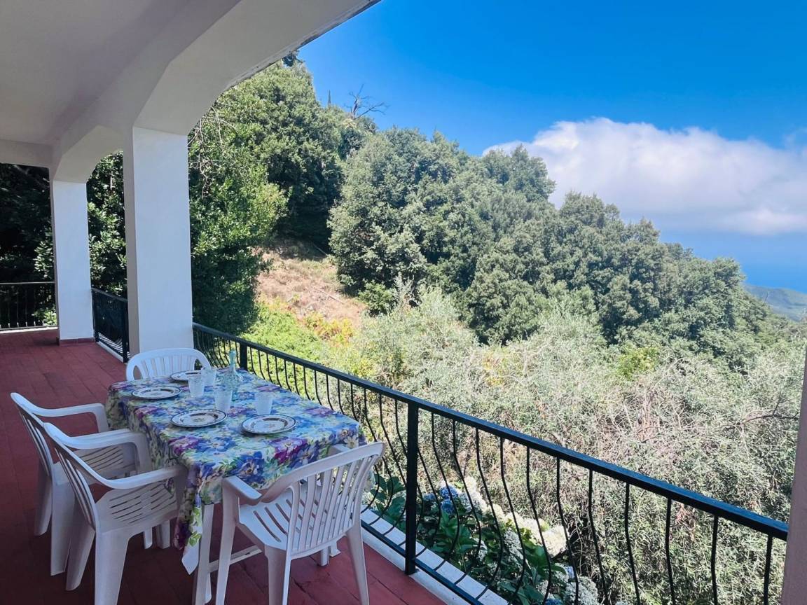 60 M² Apartment ∙ 1 Bedroom ∙ 4 Guests - Elba