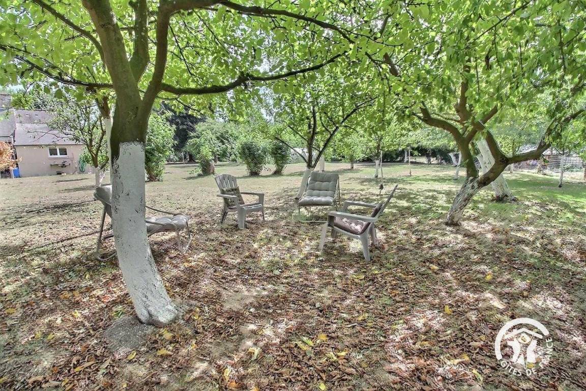 foto34