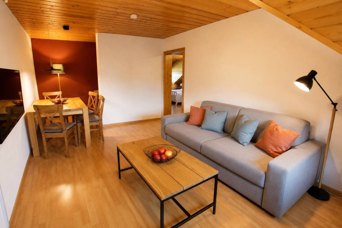 45 M² Ferienwohnung ∙ 1 Schlafzimmer ∙ 4 Gäste - Offenburg