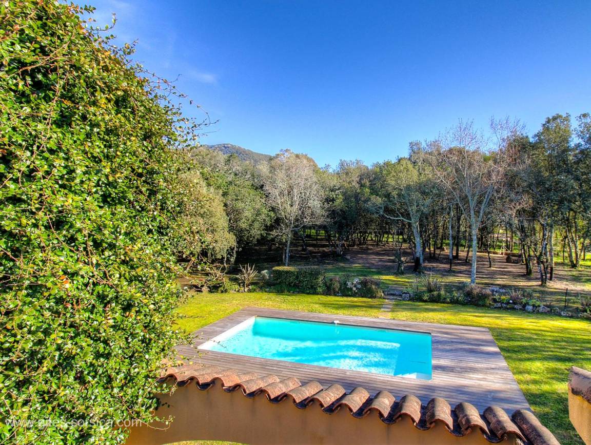 foto30