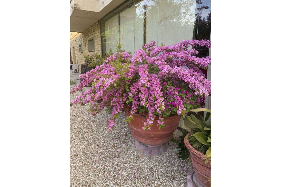foto14