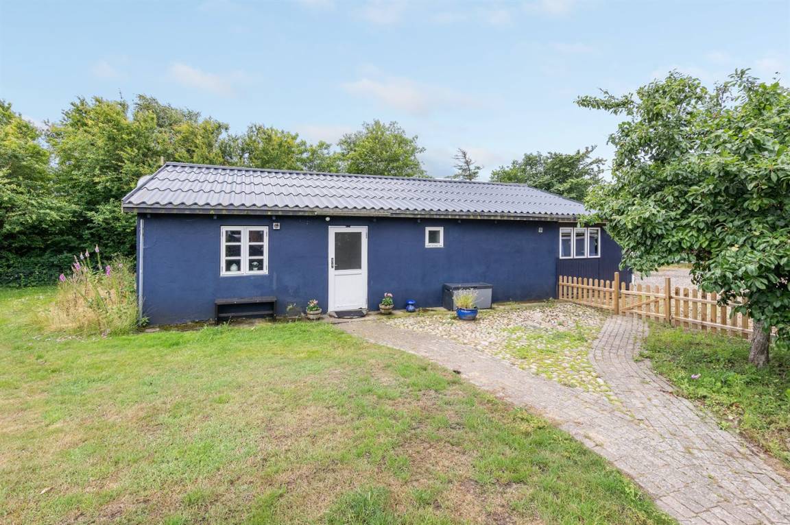 foto4
