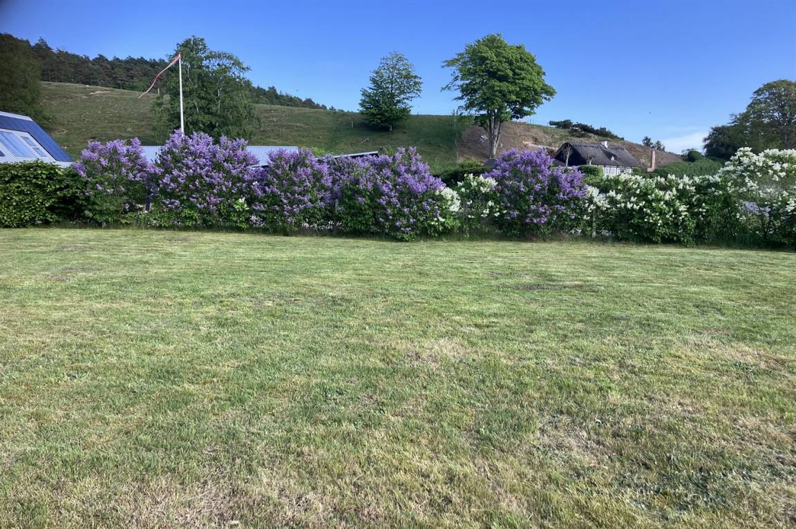 foto24