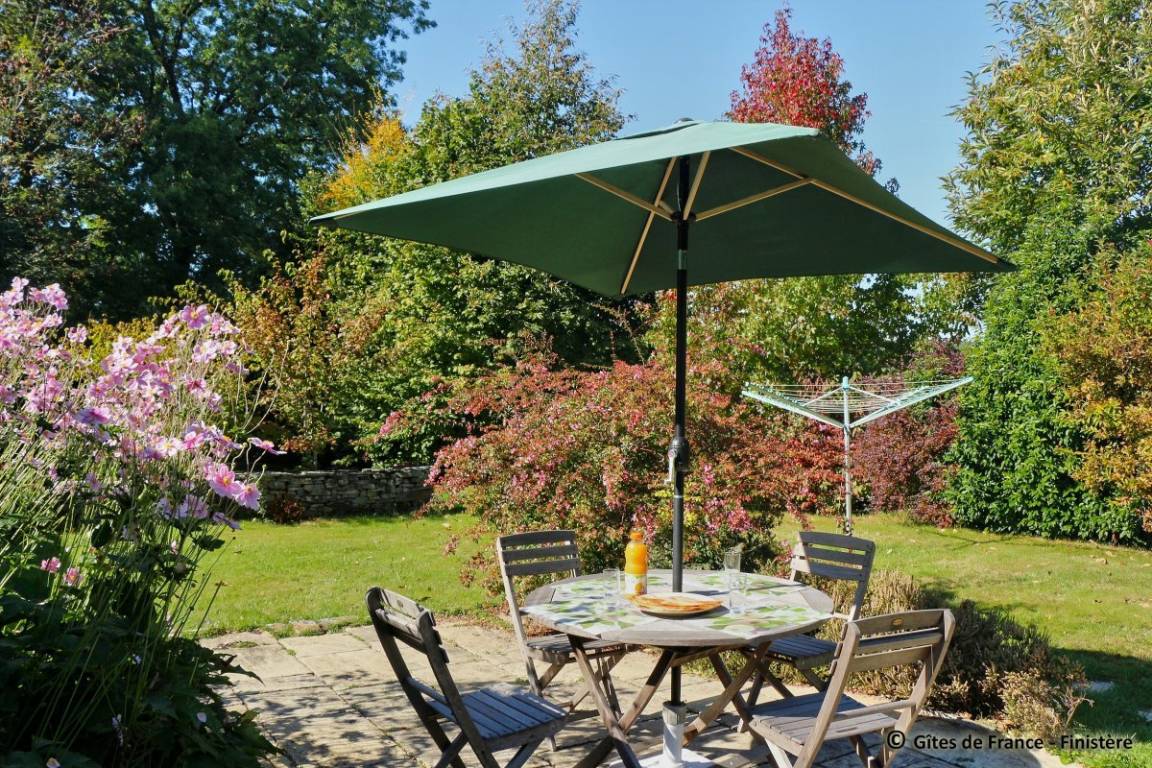 foto1