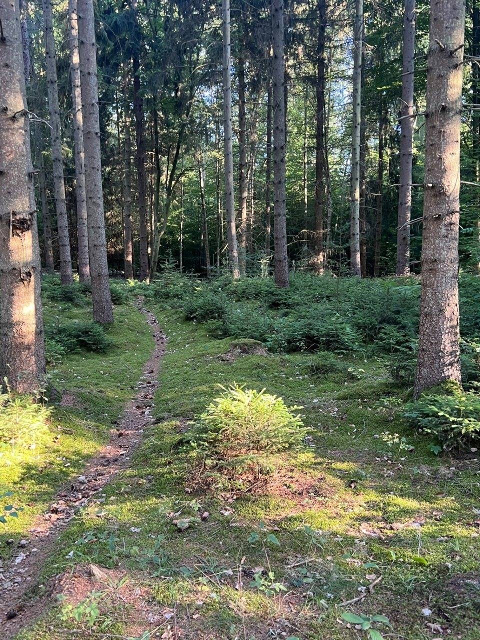 foto22