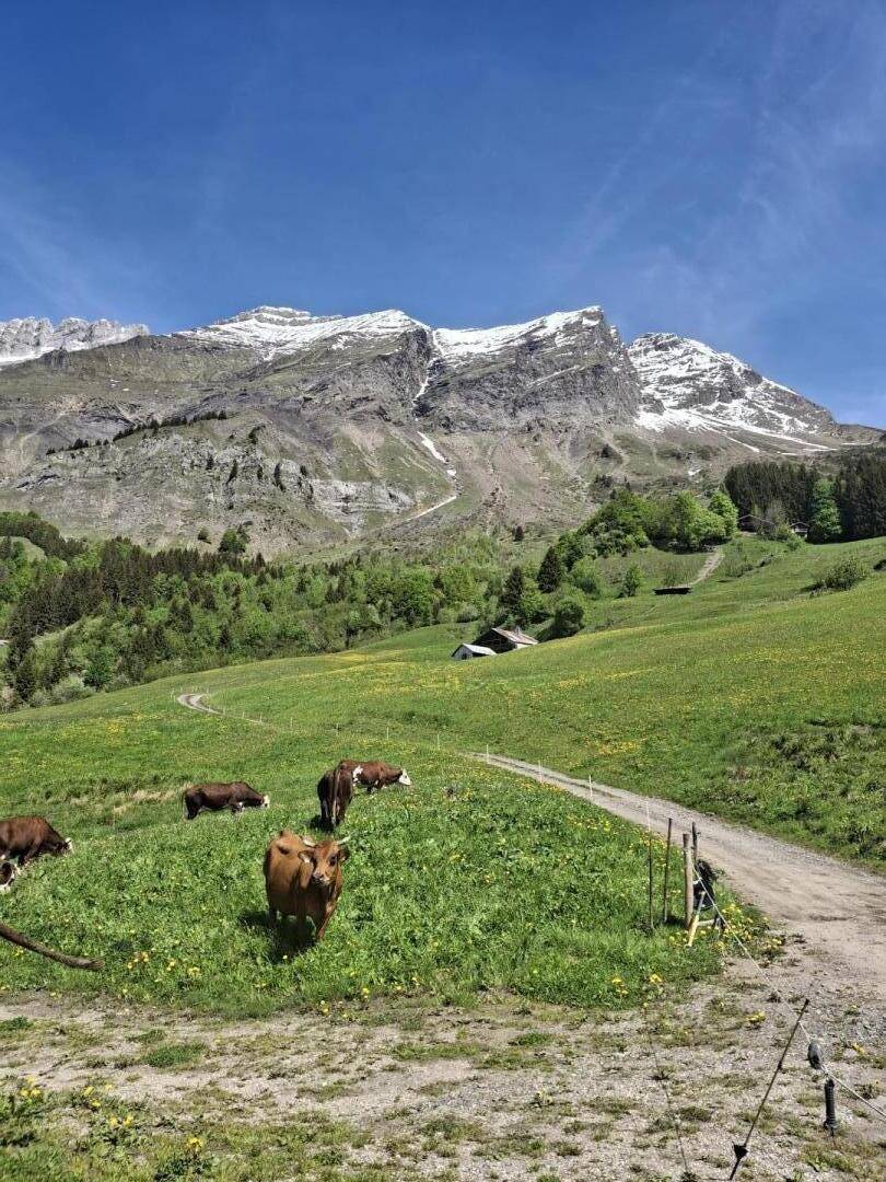 foto21