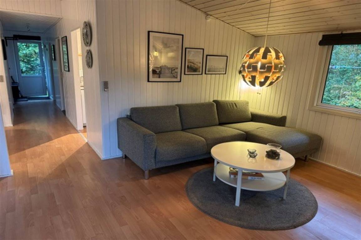 foto2
