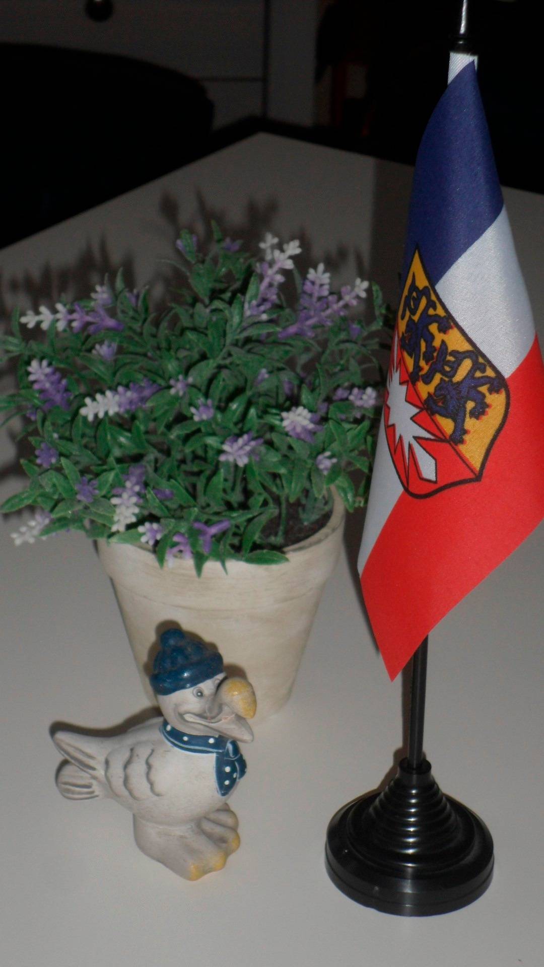 foto11