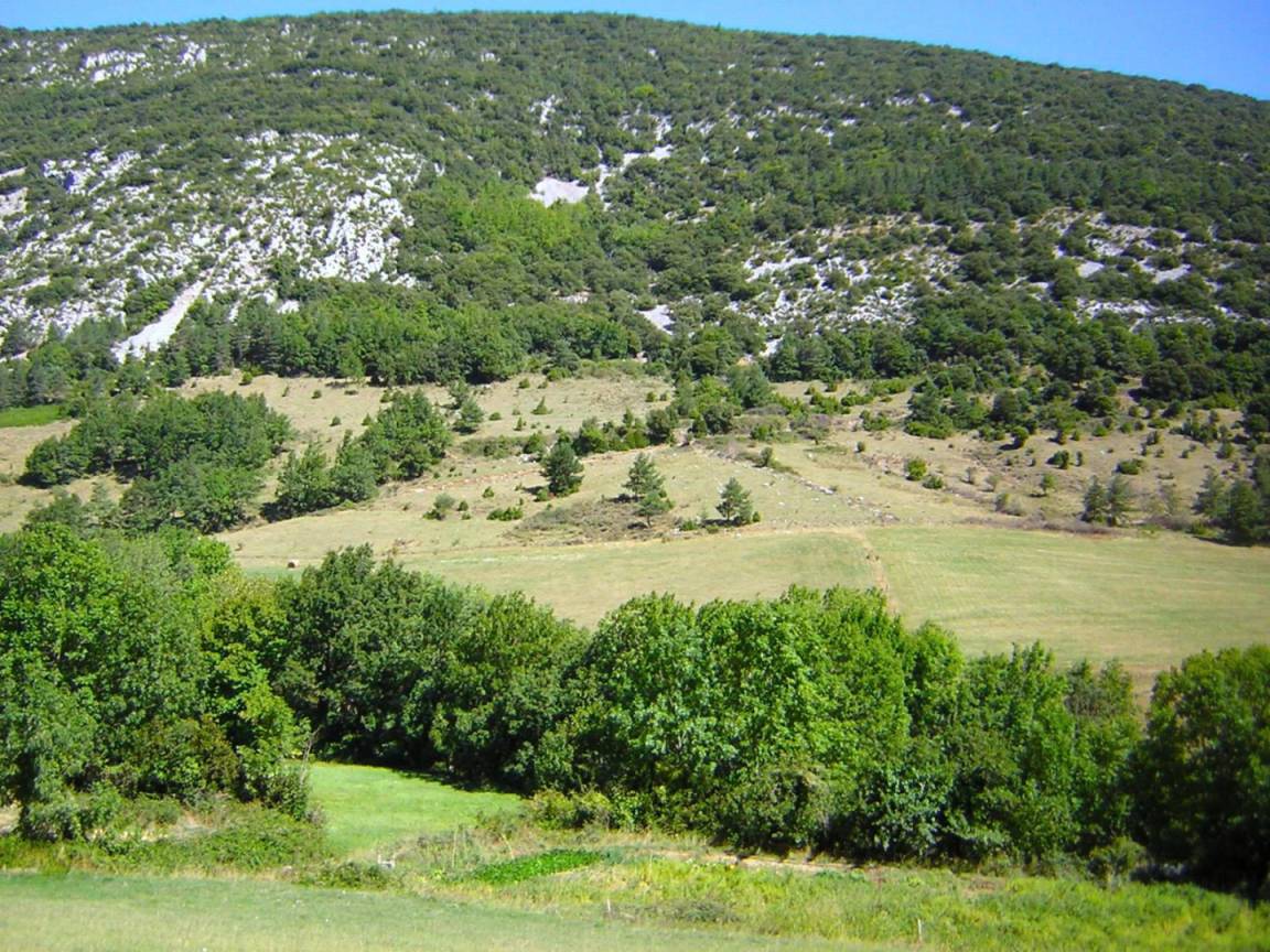 foto15